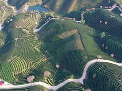 -四明山国家森林公园