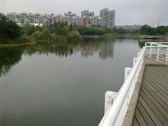 -新江湾城公园