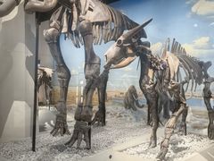 -国家自然博物馆