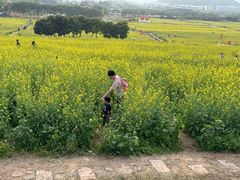-光明小镇欢乐田园