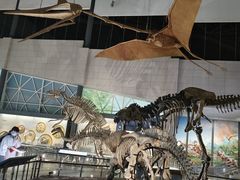 -湖南省地质博物馆