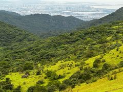 -大姆山草场