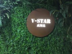 -V-STAR威斯达•高级私人定制