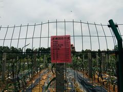 -南沙蒲洲花园