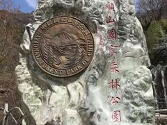 -王顺山国家森林公园