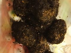 -叶氏麻糍(鼓浪屿店)