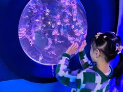 -海合安成都极地海洋公园