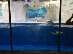 -华夏文旅海洋公园