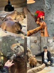 点击看大图 -Zoolung Zoolung动物主题公园(海信广场店)