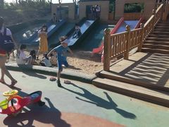 -大兴滨河森林公园