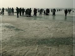 -丁香湖公园
