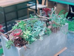 -北马山庄植趣咖啡