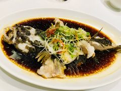 -南麓·浙里(外滩店)
