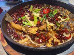 -老板恋上鱼(恒隆广场店)