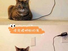 -螺大蛳柳州螺蛳粉·火锅·热干面(西城永捷店)