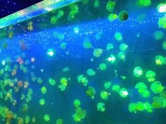 -南昌海洋公园