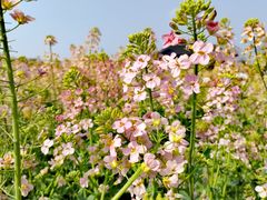 -中国天府农业博览园