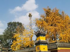 -宝光寺