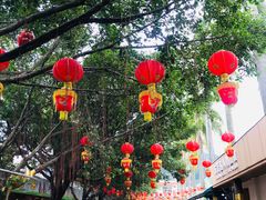 -水濂山乐民游艺园