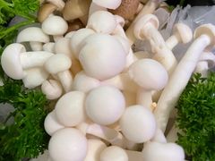 -左庭右院鲜牛肉火锅(浦江欢乐颂店)