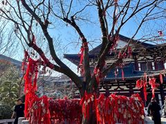 -华清宫景区