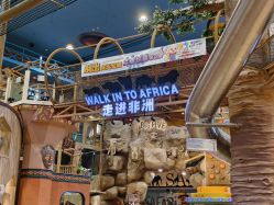 -卡通尼·Safari非洲探索乐园·生日会(金桥国际商业广场店)