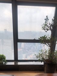 -金夫人One家全家福摄影(光环店)