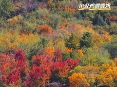 -北宫国家森林公园
