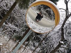 -武陵山森林公园