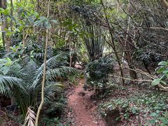 -滴水岩森林公园