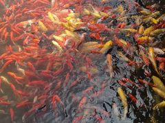 -济南马套将军山