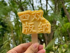 -西双版纳傣族园