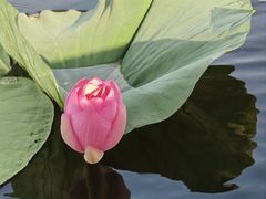 -铁锅炖灶台鱼老三炖鱼馆