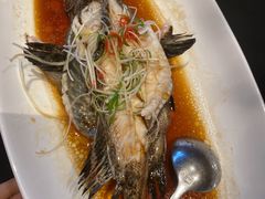 碎蒸深海石斑鱼-天伦里餐厅(绿城桃花源店)