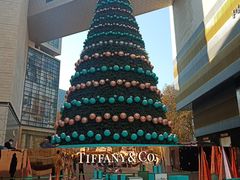 -Tiffany & Co.蒂芙尼
(南京德基广场店)