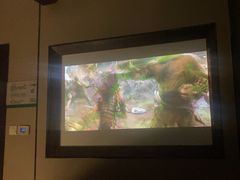 -蓉府金足印象(清江西路店)