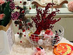 -momokira米努特·德文卷毛猫·棉花面纱犬