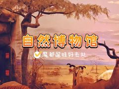 -上海自然博物馆