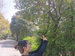 -虞山城墙