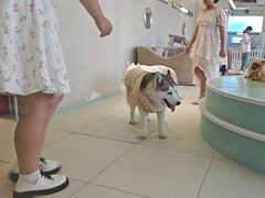 -怪兽屋·羊驼·猫咖·狗咖(俊华广场店)