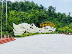 -西双版纳原始森林公园