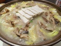 -杨氏青龙虾·羊蝎子(托乐嘉店)