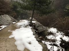 -王顺山国家森林公园
