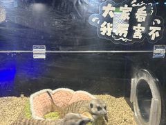 -太平洋海底世界