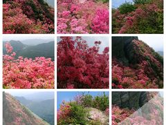 -木兰云雾山
