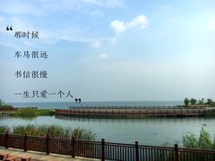 -新木器时代餐厅(太湖新天地店)