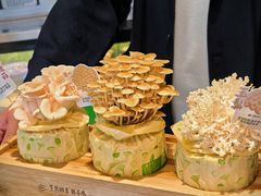 -烹然四季椰子鸡火锅(姚家园万象汇店)