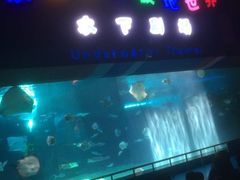 -泉城欧乐堡海洋极地世界