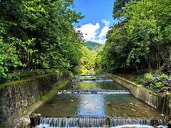 -广州白江湖森林公园