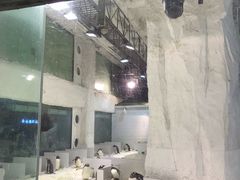 -大连圣亚海洋世界